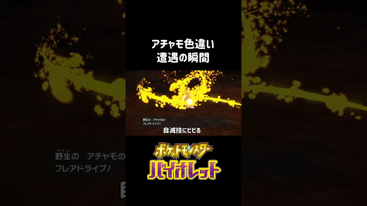 アチャモ色違い初遭遇 #shorts