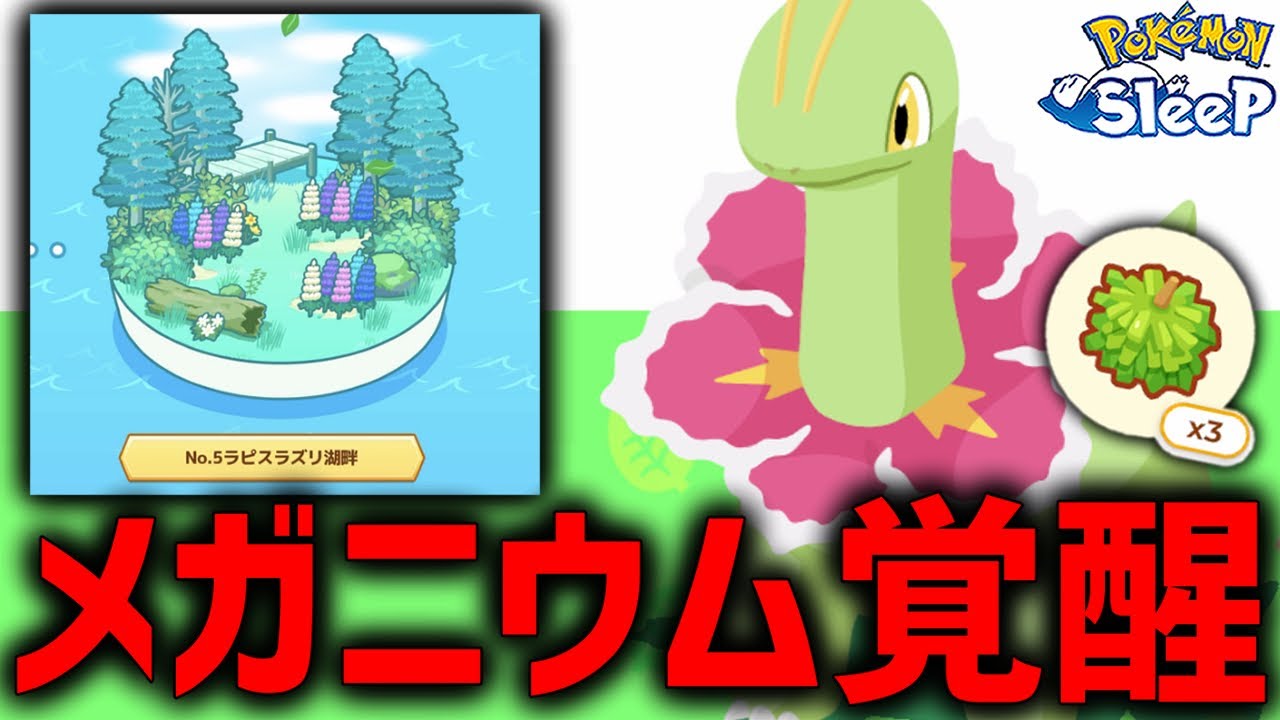新マップで遂に『最強のメガニウム』が覚醒します【ポケモンスリープ】