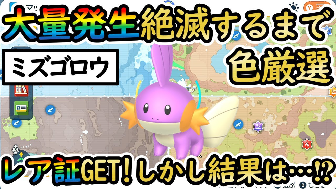 【色厳選チャレンジ】ミズゴロウ大量発生が消えるまで色違い厳選したら捕獲数/サイズ/レア証は？ラージサイズラグラージが欲しいお年頃【 #ポケモンSV 】