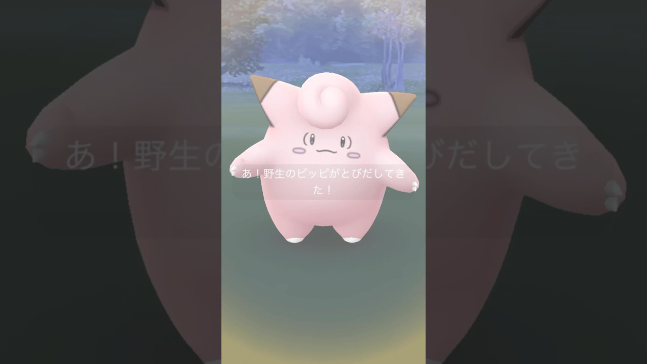 【毎日ポケGO】でかい！ピッピ♫ #ポケモンgo #pokemongo