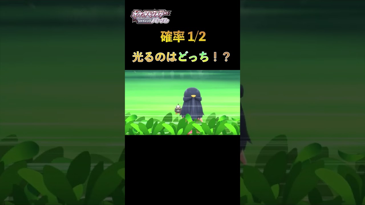 【色粘り】どっちが光るでしょう！〜ナエトル編〜 #shorts #色違い #ポケモン #bdsp #ナエトル