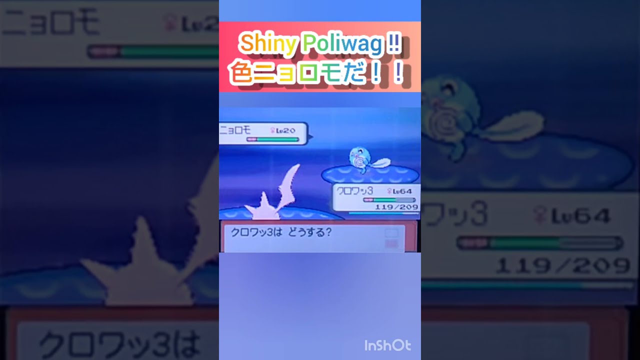 【ポケモンDP】色違い捕獲日記　41日目　ニョロモ　【PokémonDP】The diary Capturing shiny Pokémon's　Day41　Poliwag　#shorts