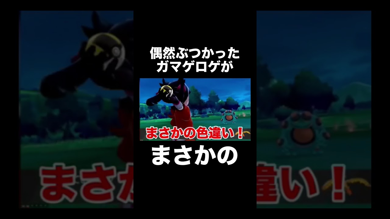 【ポケモン剣盾】偶然ぶつかったガマゲロゲがまさかの【ソードシールド】 #ポケモン剣盾 #ポケモンソードシールド #Shorts