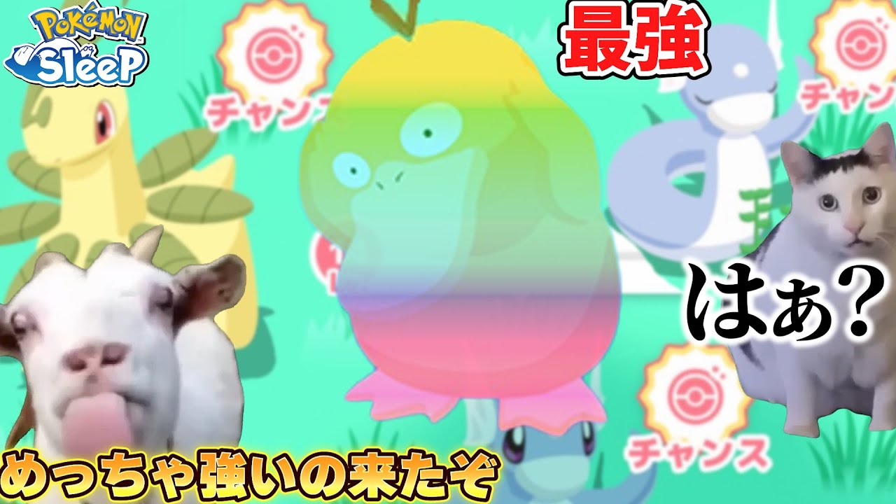 最強のミニリュウを押しのけて超最強のコダック現るｗ【ポケモンスリープ/猫ミーム/猫マニ】
