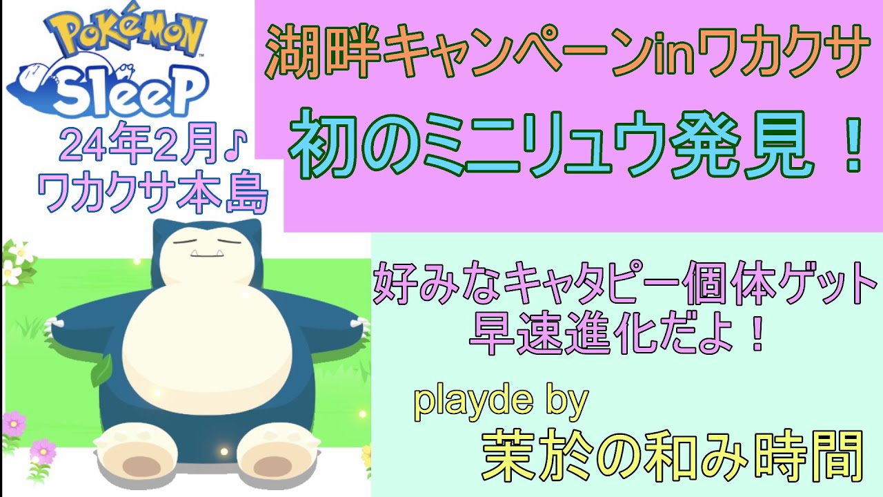 ワカクサ本島でミニリュウ初発見！【#ポケモンスリープ】ワカクサ本島＋40％Plus+所持。無課金のんびりプレイで攻略していくポケスリ！Pokémon Sleep実況プレイ♪