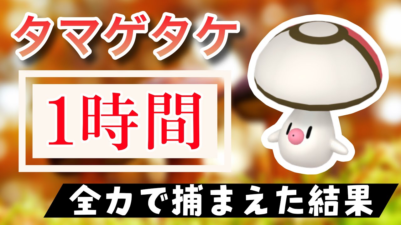【ポケモンGO】田舎でタマゲタケのスポットライトアワーをやった結果