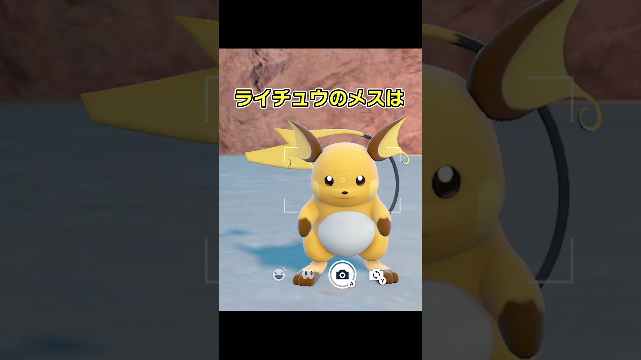 ライチュウのオスとメスの違い　 #ポケモンsv #ポケモン雑学 #ライチュウ