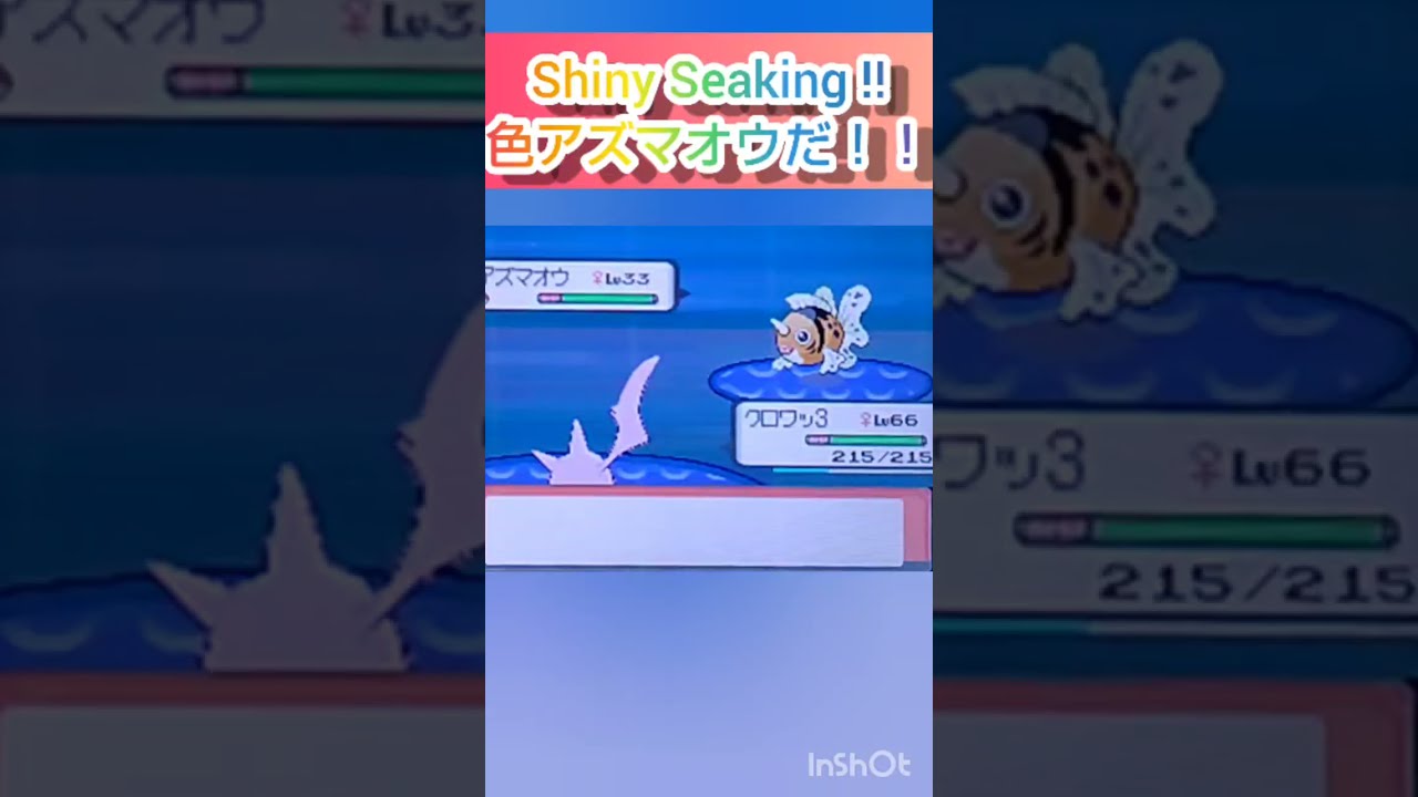 【ポケモンDP】色違い捕獲日記　49日目　アズマオウ　【PokémonDP】The diary Capturing shiny Pokémon's　Day49　Seaking　#shorts