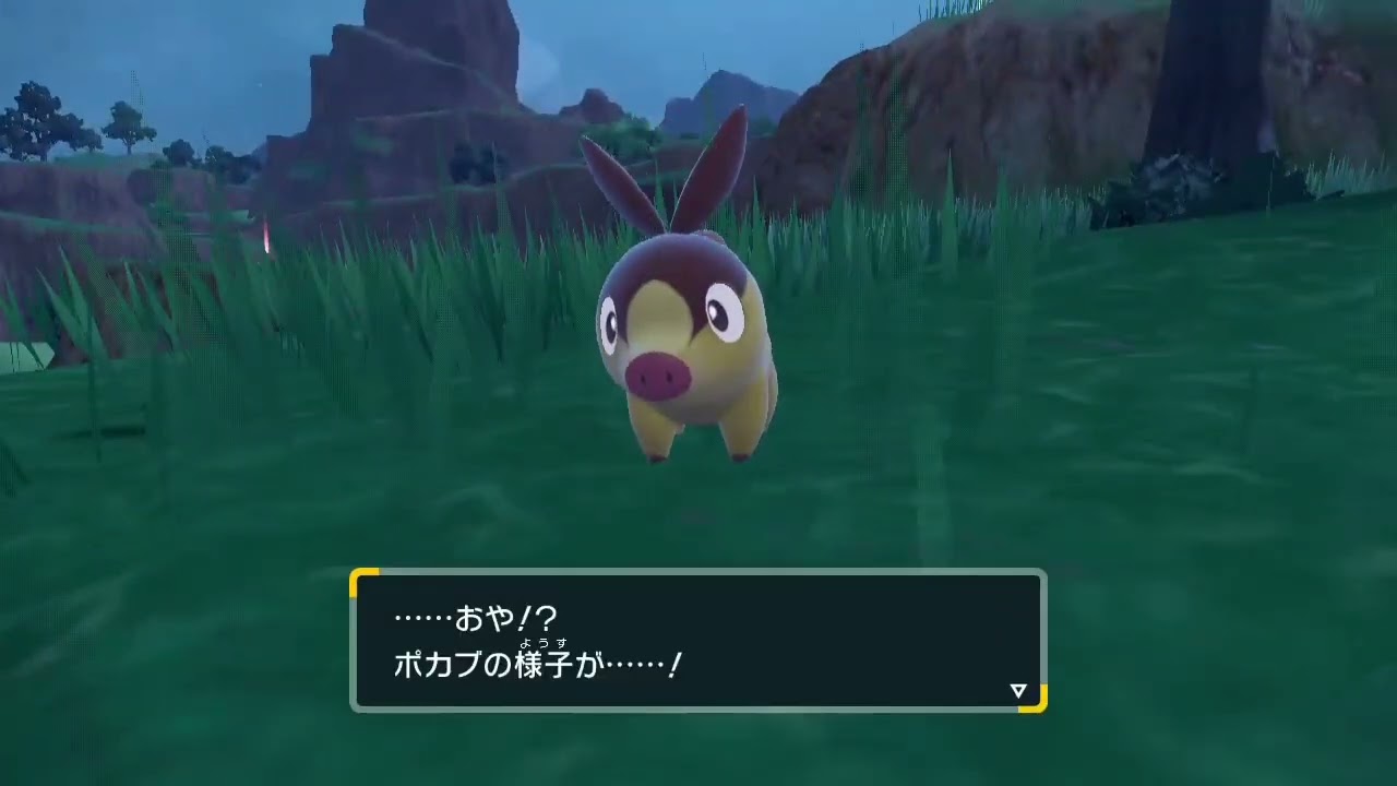 色違いポカブ進化【SVVersion】ポカブ、チャオブ、エンブオー