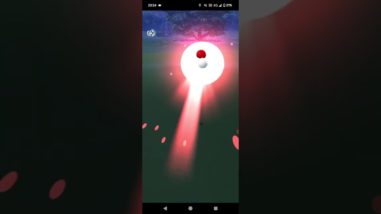 20240110のポケモンgoのタマゲタケ