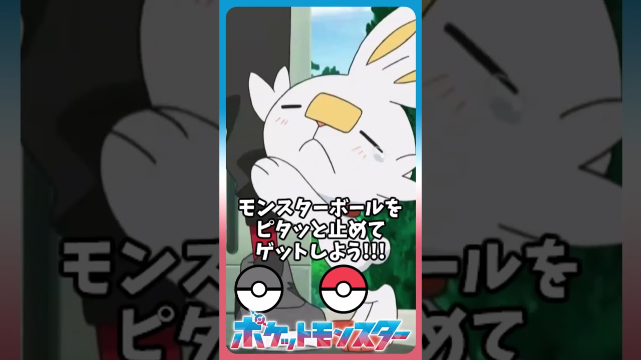 ▼あ！ヒバニーが あらわれた！ #shorts #pokemon