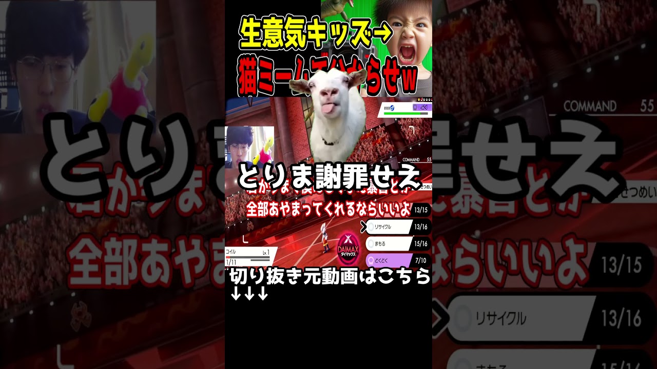 【猫ミーム】伝説キッズボコボコにするガレンのツボツボ猫がおもろすぎるｗ #shorts