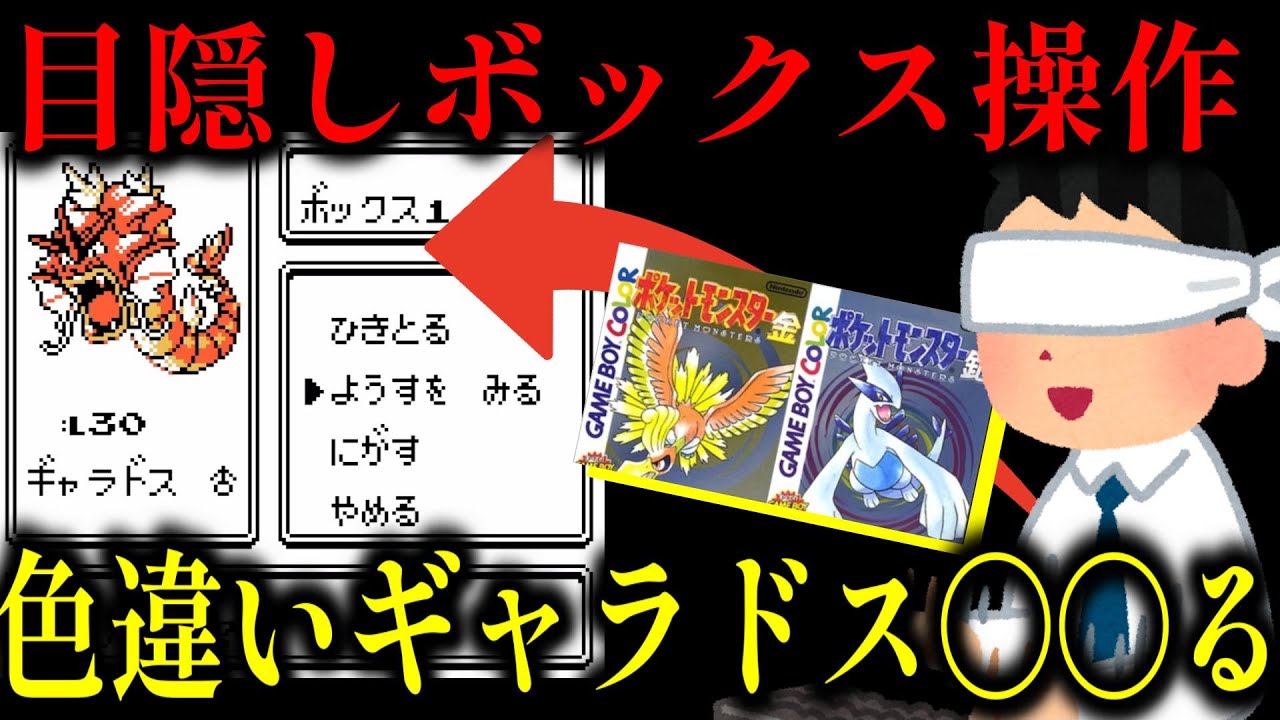 【切抜】色違いギャラドスまさかの〇〇、音を頼りにゲームをしてたら鬼畜な仕様【目隠しポケモン金銀】