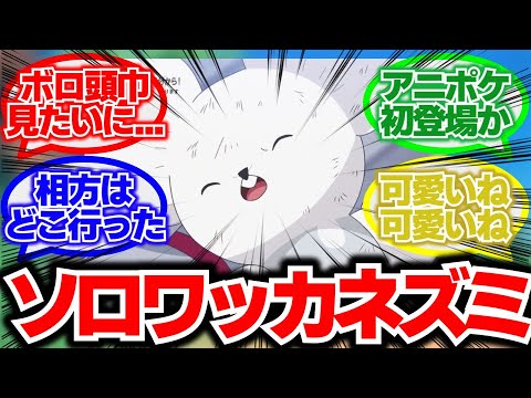 【アニポケ第38話】『相方がいないワッカネズミが登場』に対する反応集まとめ【第37話「ホゲータ、わるになる」】【アニポケ】【ポケモンSV】【おまもりこばん】【はるかっと】【たちばな】