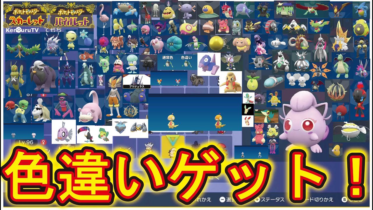 【#ポケットモンスタースカーレットバイオレット蒼の円盤】雑談配信！色違い証ズルッグ出るか！？ライブ配信！