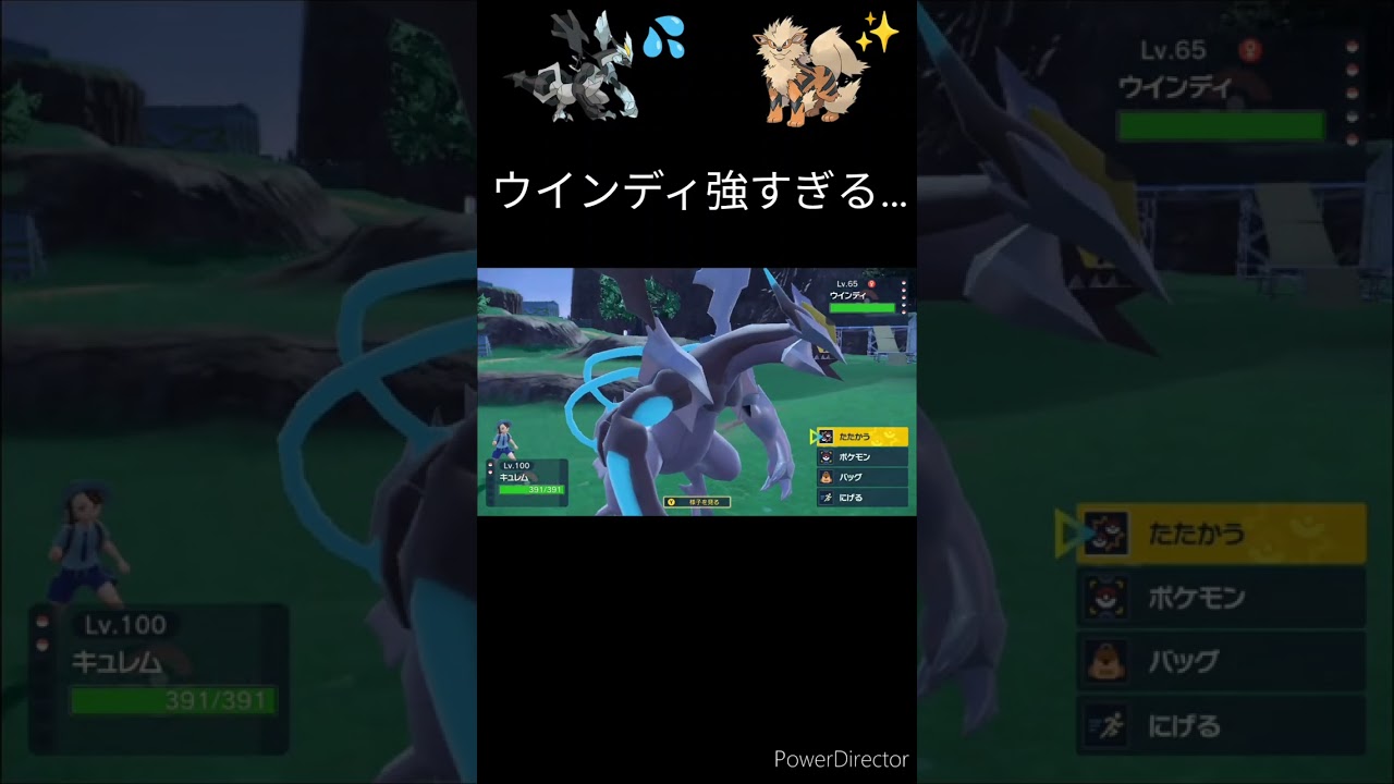 【悲報】ブラックキュレムのブリザードランス、NPCに余裕で耐えられてしまう【ポケモンsv】