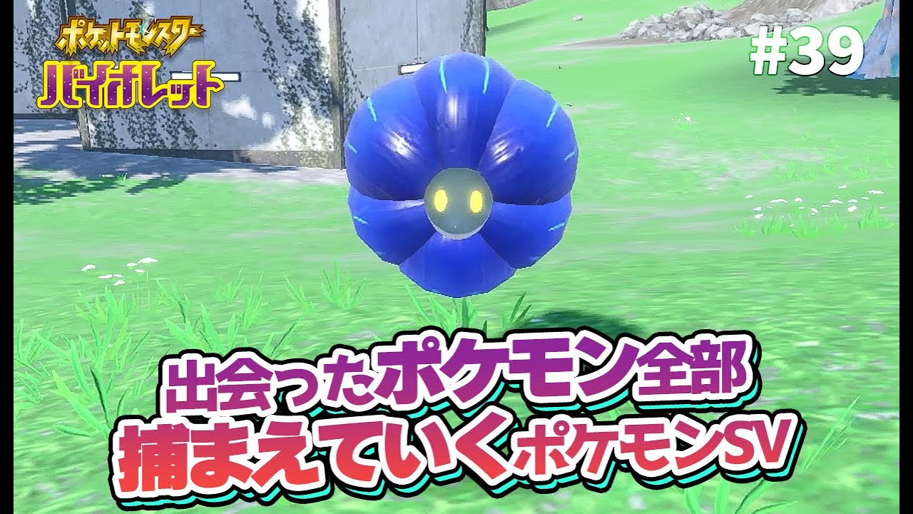 エリアゼロの不思議なポケモンたち！全部捕まえていくポケモンSV 【ゲーム実況】39