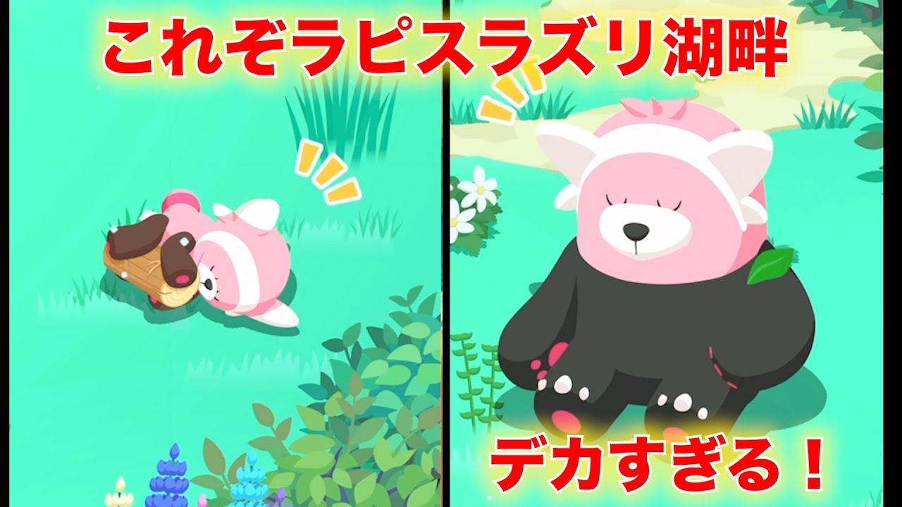 【神リサーチきた】キテルグマが大きすぎて可愛すぎる【ポケモンスリープ】#pokemon  #ポケモンスリープ #ラピスラズリ湖畔