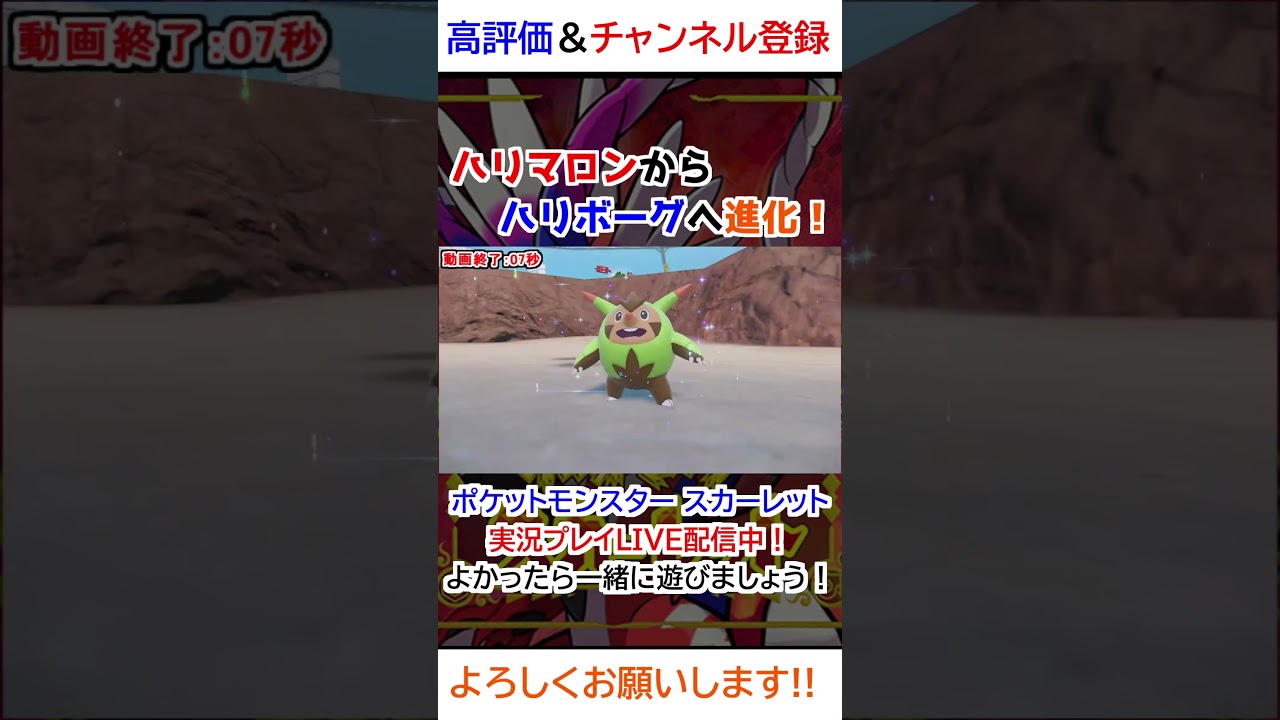 ハリマロン→ハリボーグ進化【ポケモンSV】
