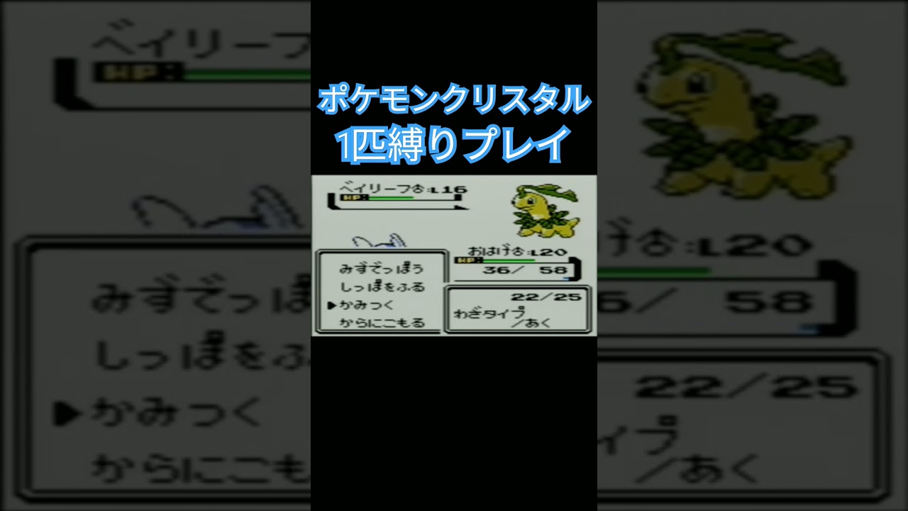 【ポケモンクリスタル】ポケモン1匹縛りプレイ!!ゼニガメver【縛りプレイ】#ポケモンクリスタル #ポケモン金銀 #縛りプレイ #ゼニガメ #カメール #カメックス #ゲーム実況