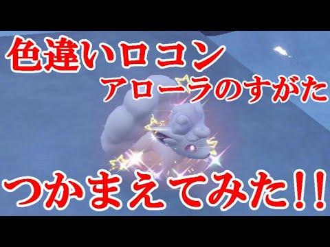 【ポケモンSV】色違いロコン(アローラのすがた)つかまえてみた！！