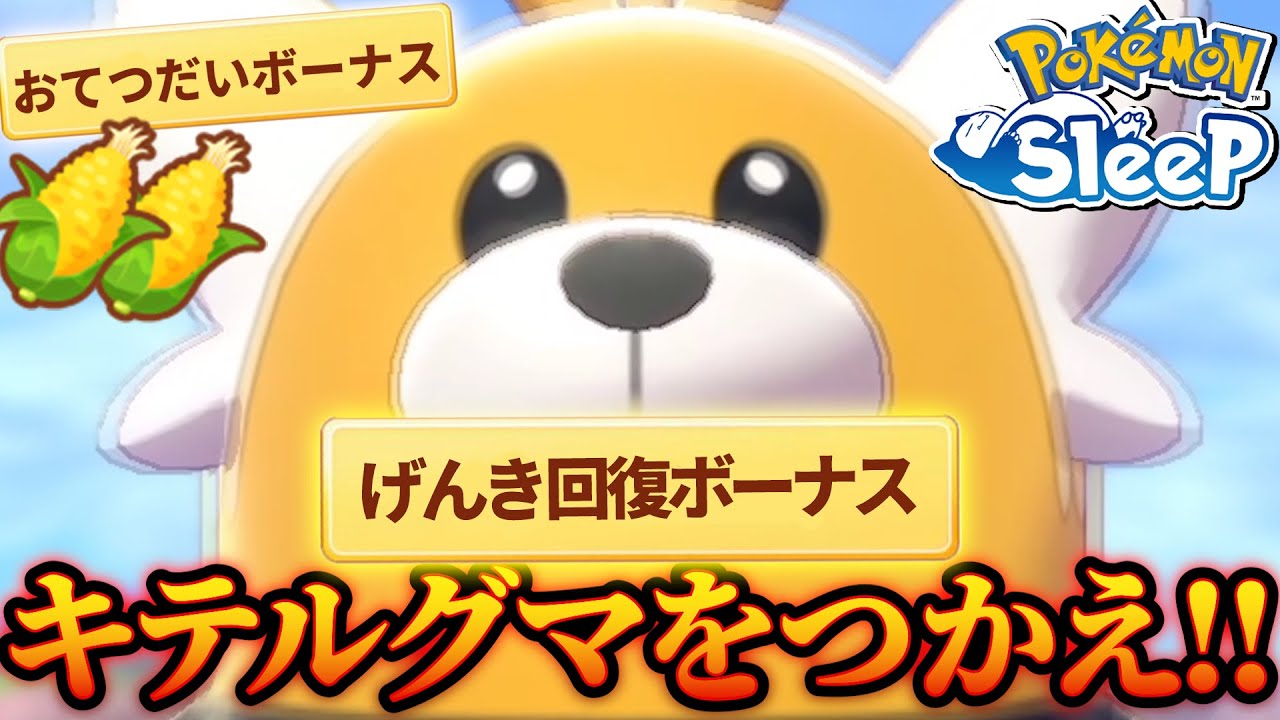 【悲報】ワイのキテルグマ厳選のハードルが高すぎる【ポケモンスリープ/ラピスラズリ湖畔】