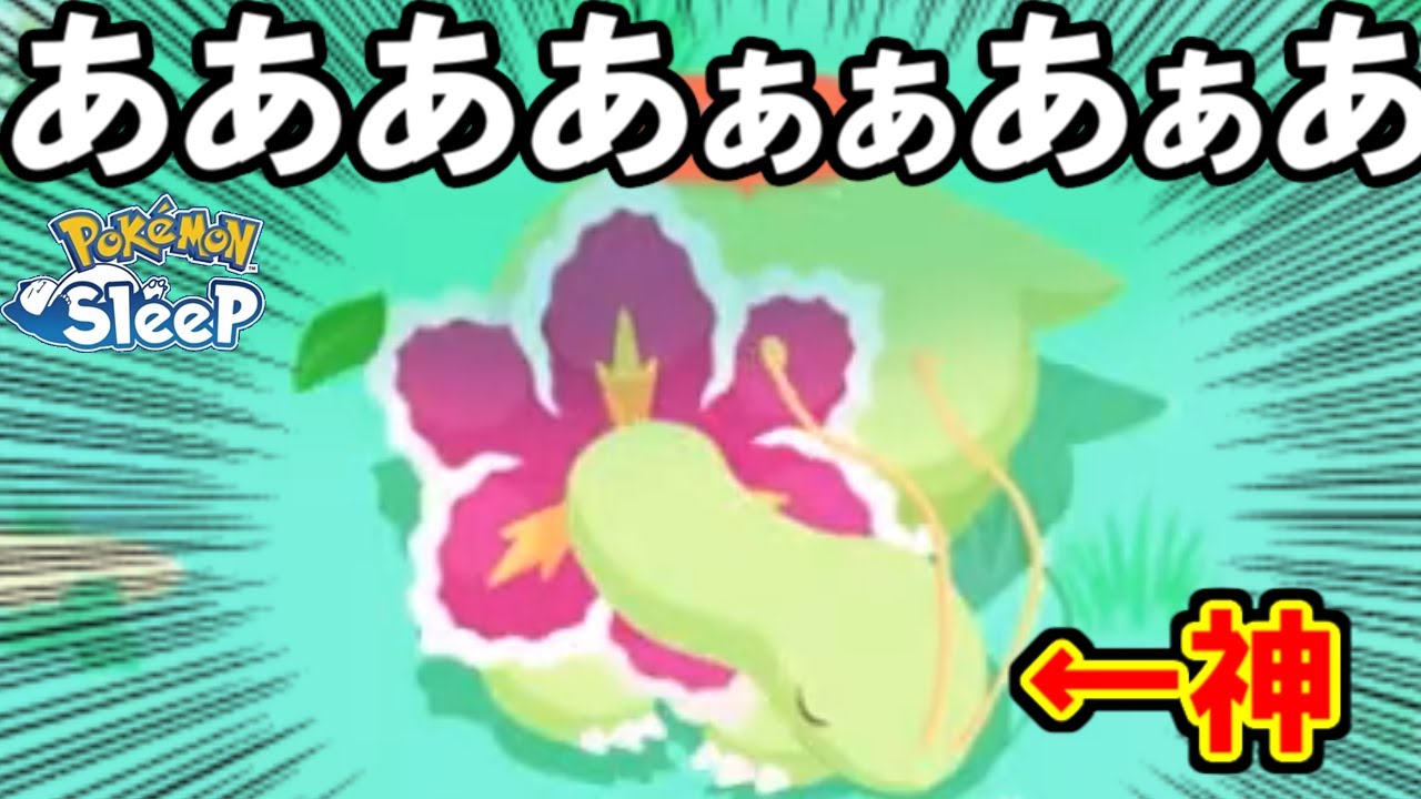 湖畔の破壊神、メガニウムと対面してきました・・・。【ポケモンスリープ】