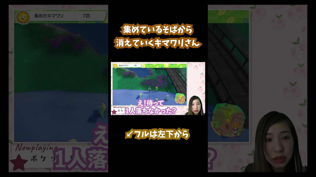 集めているそばから消えていくキマワリさん #pokemon #ポケモンsv #ポケモン #Shorts #pokemonsv