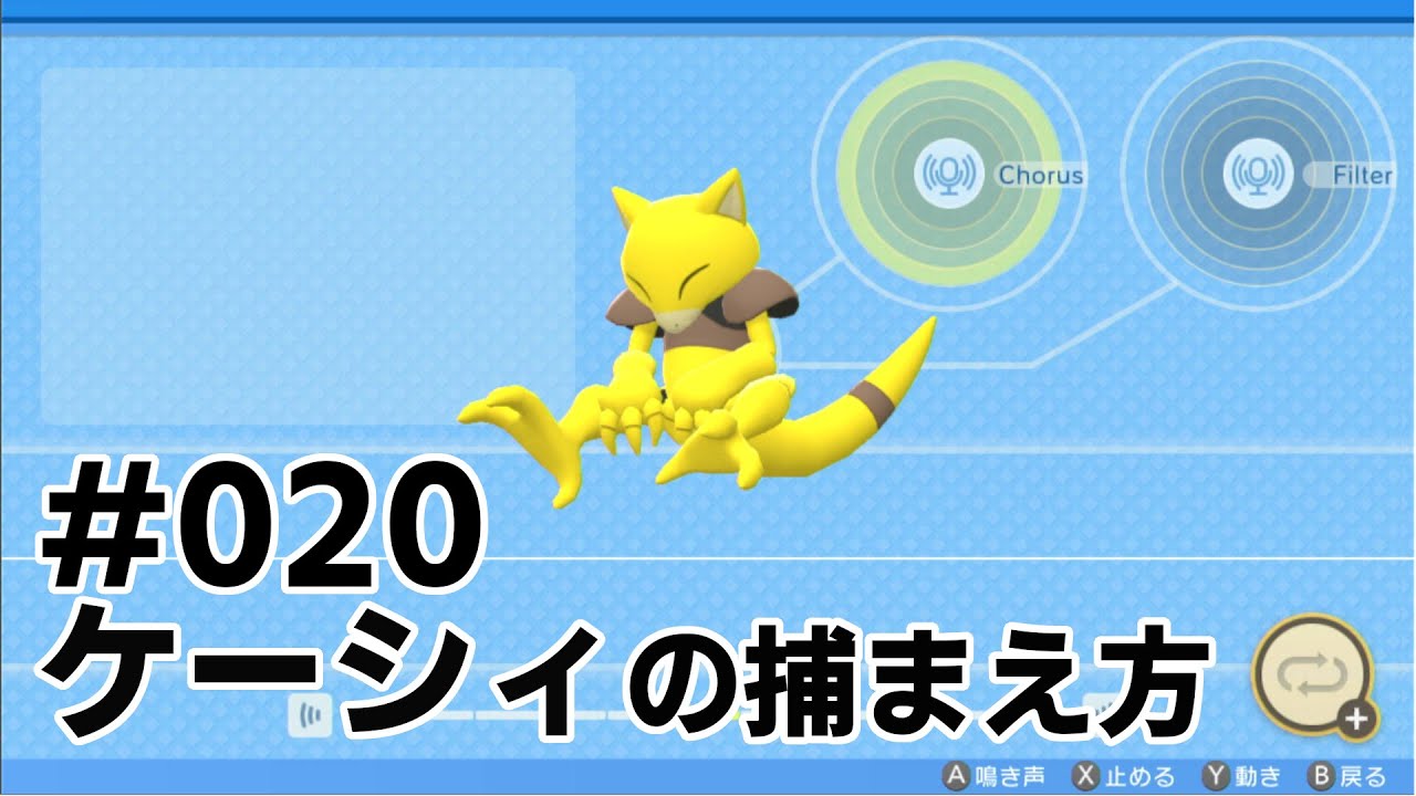 ケーシィを探している方に見てほしい動画