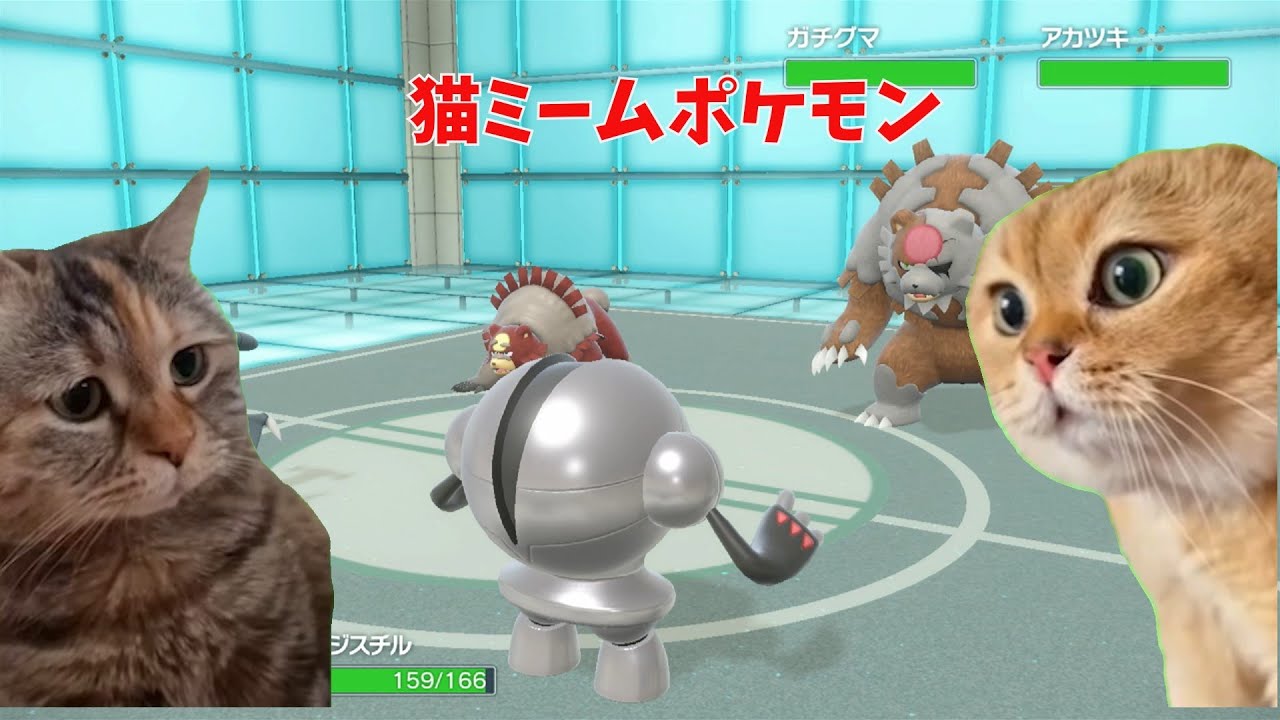 【メリープで行くパルデア制覇】猫ミームの縛りのポケモンバトル？