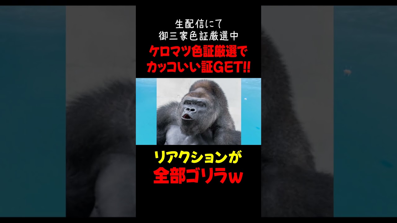 ケロマツの色違いが持ってた証がカッコいい件ｗｗ【ポケモンSV】#shorts