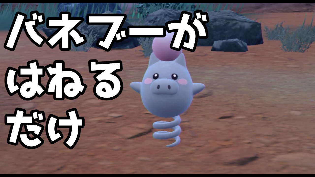 【ポケモンSV】バネブー配信耐久