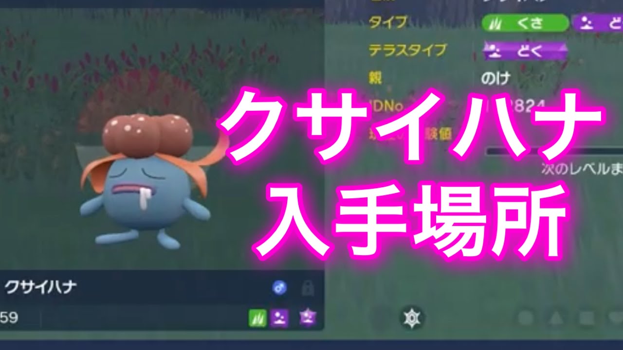 【ポケモンSV】【藍の円盤】クサイハナ入手場所