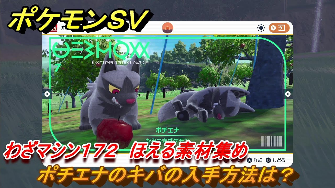 ポケモンＳＶ　わざマシン１７２　ほえる素材集め　ポチエナのキバの入手方法は？　＃２２３　【DLCゼロの秘宝　碧の仮面・藍の円盤】