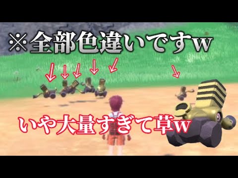 ブロロンの色違い大量に入手する方法がすごすぎてw【ポケモンSV】