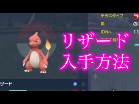 【ポケモンSV】【藍の円盤】リザード入手方法