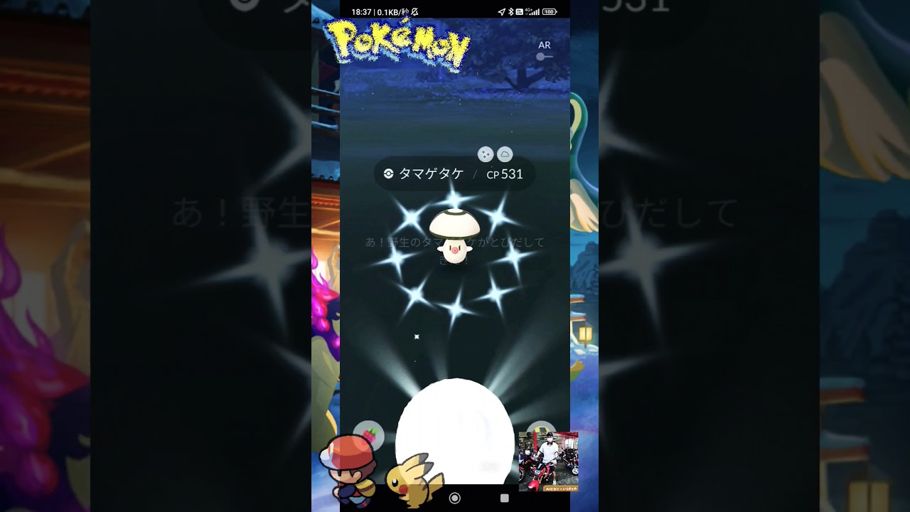 【Pokémon GO】タマゲタケ色違いGETだぜ！「スポットライトアワーinポケモンGO」feat.H&Mで買った皮ジャンwith保護猫天音ちゃんAwesomeSTOREで買った爪とぎバスに乗る