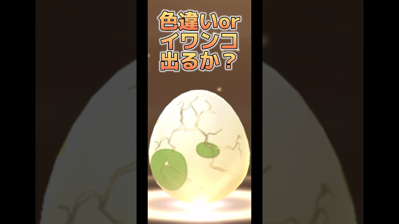【ポケモンGO】色違い/たそがれイワンコ出るか？#pokemongo #ポケモンgo #pokémongo