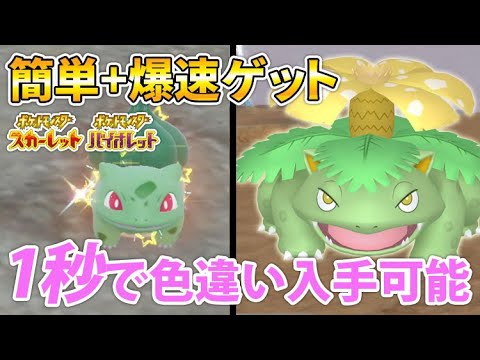 【ポケモンSV】超簡単！色違いフシギダネ・フシギバナを超効率よくゲットする厳選方法【ゼロの秘宝 藍の円盤】