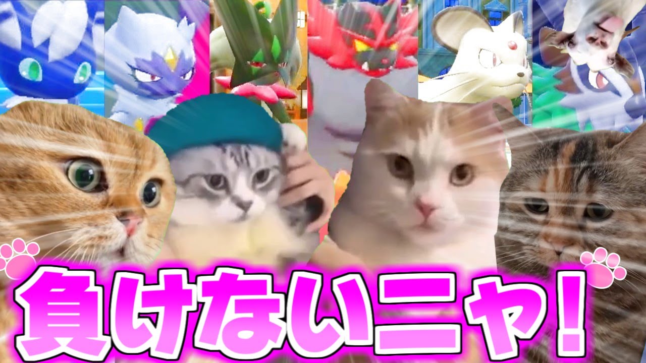 【猫ミーム】猫ポケモンのポケモンバトル【ポケモンSV】