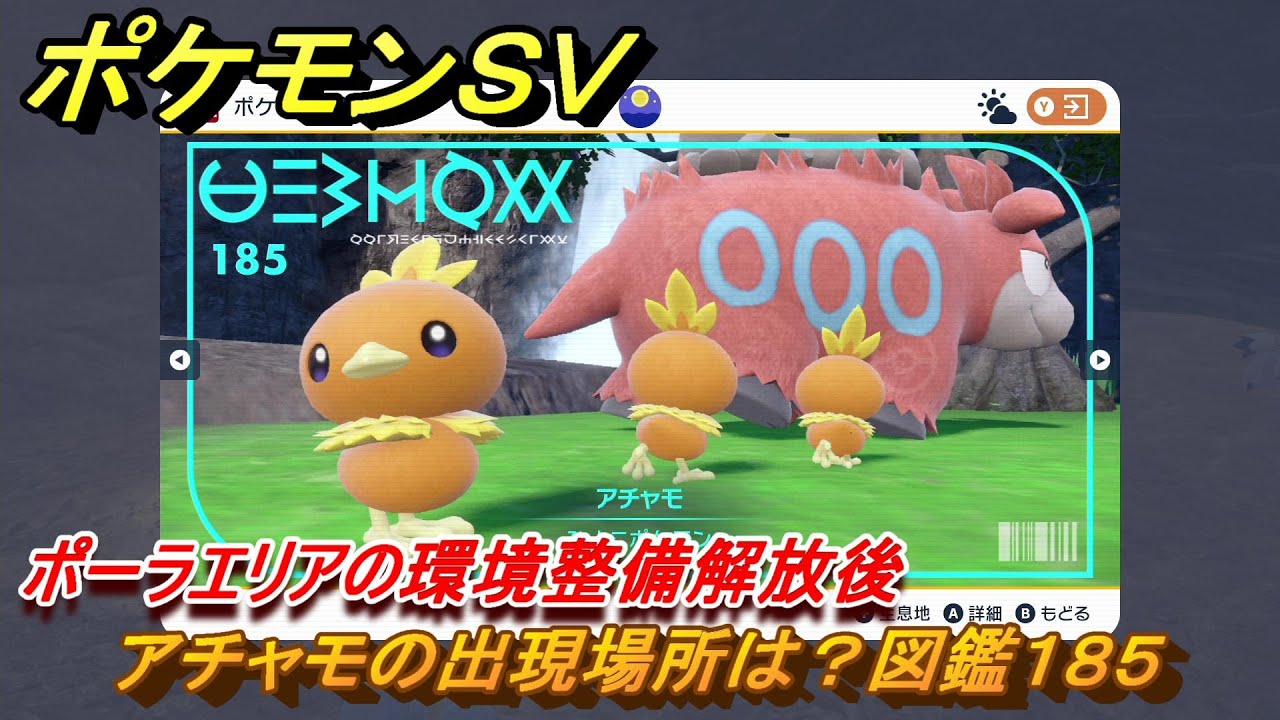 ポケモンＳＶ　アチャモの出現場所は？図鑑１８５　ポーラエリアの環境整備解放後　ブルーベリー図鑑エリア　＃１５６　【DLCゼロの秘宝　碧の仮面・藍の円盤】