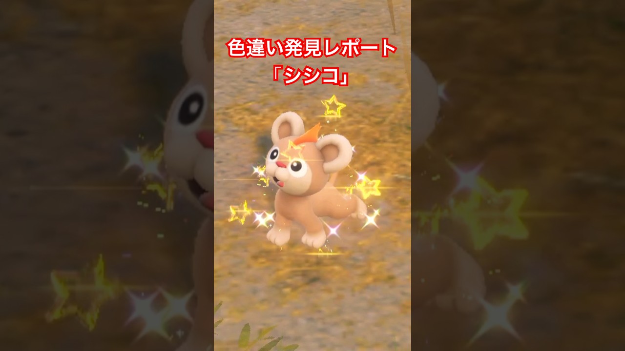 ポケモンSV 色違い発見レポート「シシコ」 #ポケモンsv色違い #pokemon #色違い