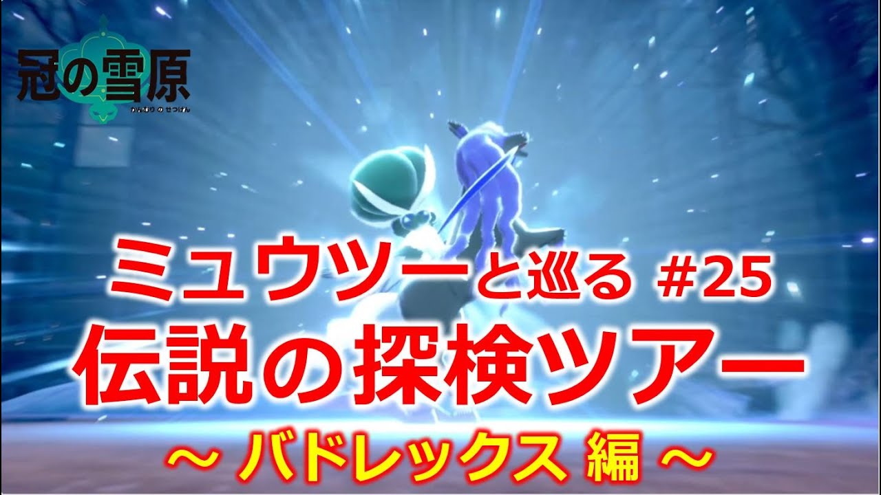 【ポケモンソード 冠の雪原】 ミュウツーと巡る！伝説の探検ツアー ／ バドレックス 編 【ネタバレあり】【ポケモン剣盾／ポケモン／ポケットモンスター】 #25