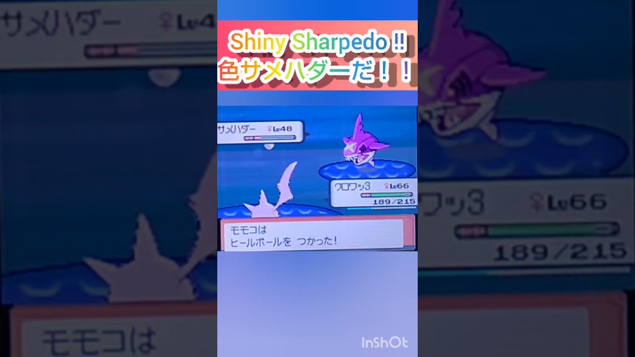 【ポケモンDP】色違い捕獲日記　46日目　サメハダー　【PokémonDP】The diary Capturing shiny Pokémon's　Day46　Sharpedo　#shorts