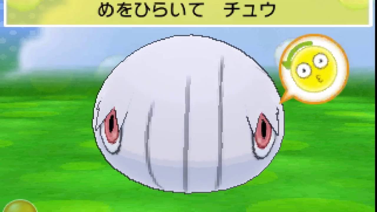ポケパルレ　カラサリスと戯れるだけの動画