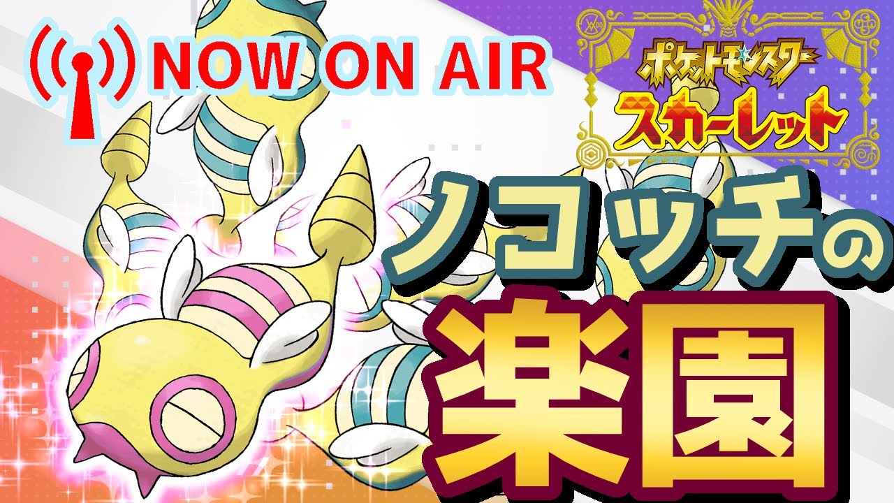 【生配信】【雑談/ポケモンSV】2月6日は #ノコッチの日 ！ノコッチしか出ない最高の楽園でひたすらノコッチの色違いを探す男。&最近のいろいろ雑談も