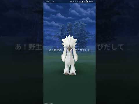 【ポケGO 2024】014：大発見！「299回目：トリミアン」(星の砂2000+シンオウのいし)