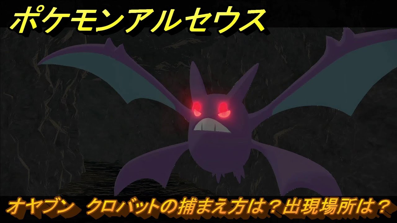 ポケモンアルセウス　オヤブン　クロバットの捕まえ方は？出現場所は？　＃４２８　【Pokémon LEGENDS アルセウス】