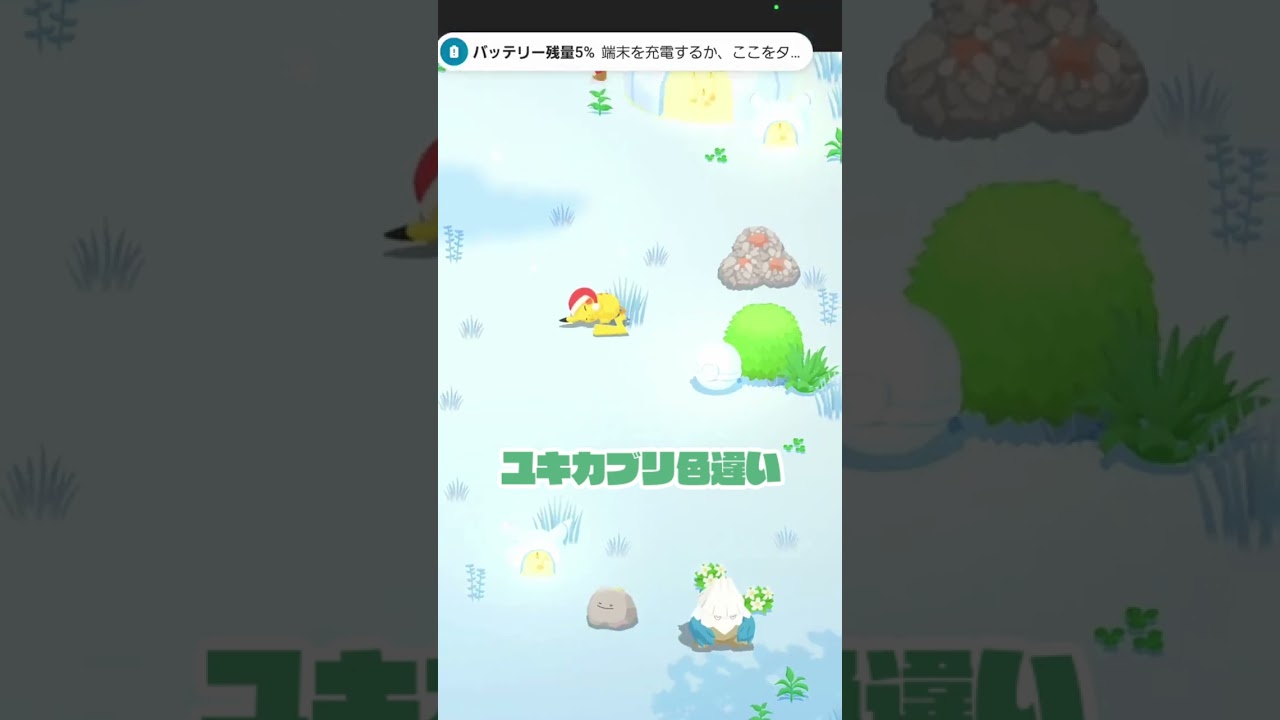【ポケモンスリープ】　3日連続で色違い出現しました　ゴース　ユキカブリ　タマザラシ【Pokémonsleep】