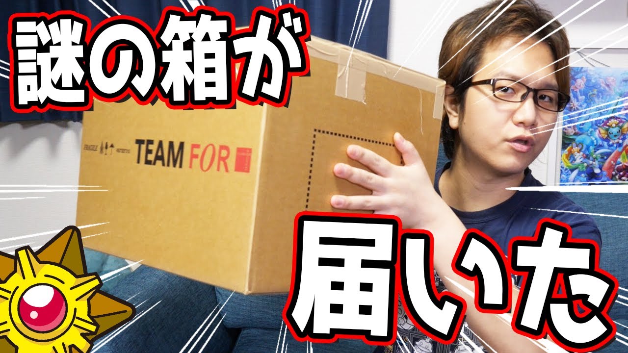 株ポケさんから大きめの荷物届いた!!なんやこれ!!!!【ポケモンGO】